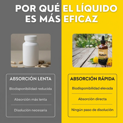 Detox pulmonar 3 en 1 (mocos, toxinas y vías respiratorias)