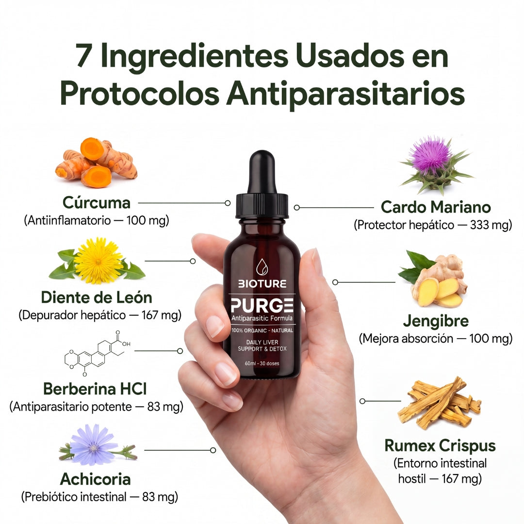 Cellieva DTOX™ — Natural Anti-parasitic Formula (Eliminates intestinal parasites in 21 days)