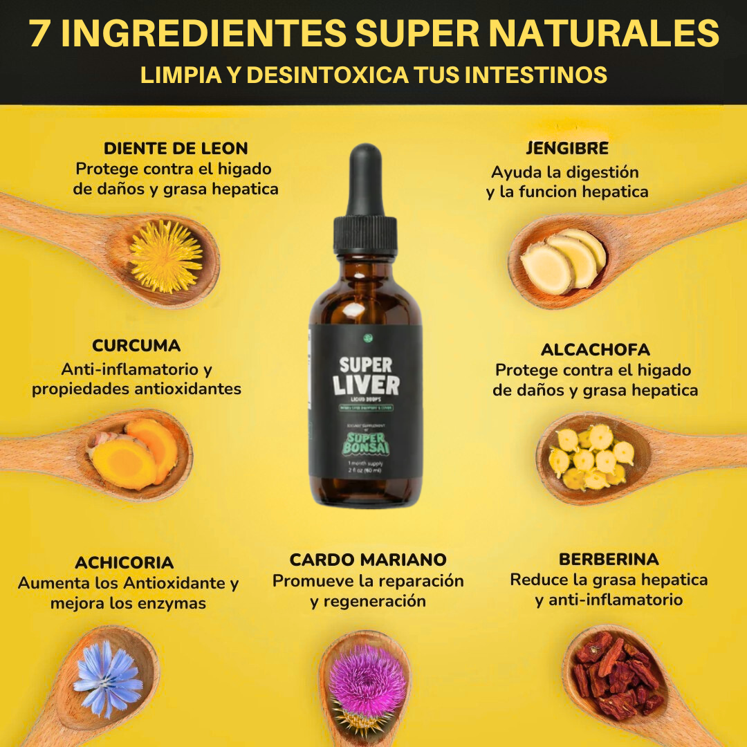 Cellieva DTOX™ — Desintoxicación 3 en 1 (hígado, estómago y colon)