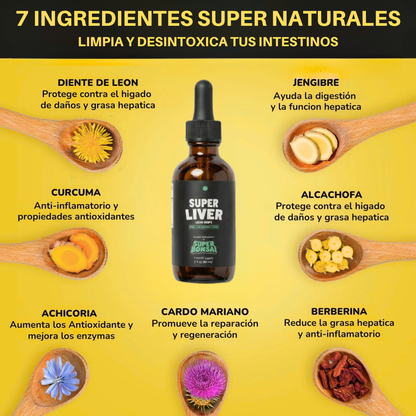 Cellieva DTOX™ — Desintoxicación 3 en 1 (hígado, estómago y colon)